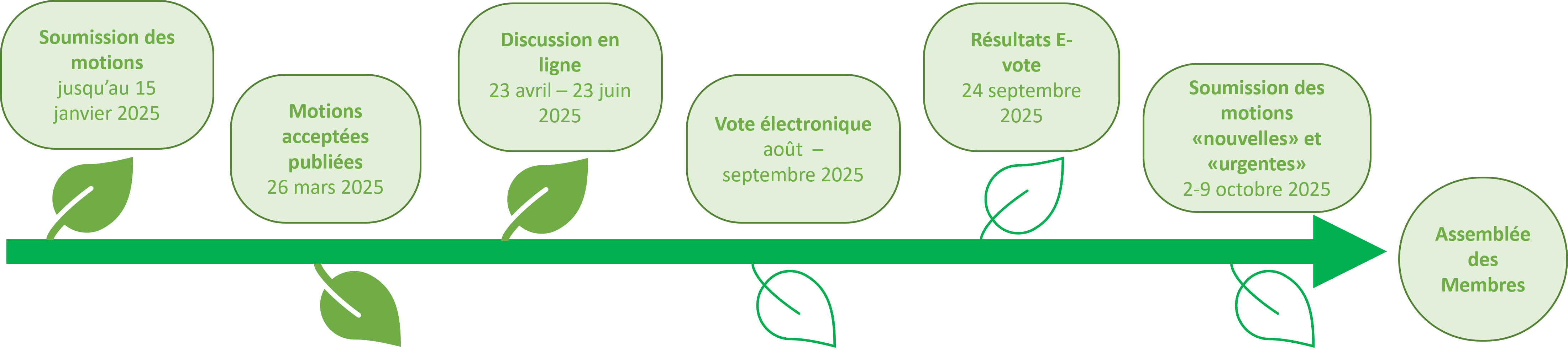 motions_timeline