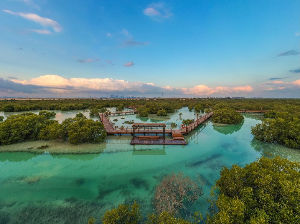 Jubail_Mangrove_Park