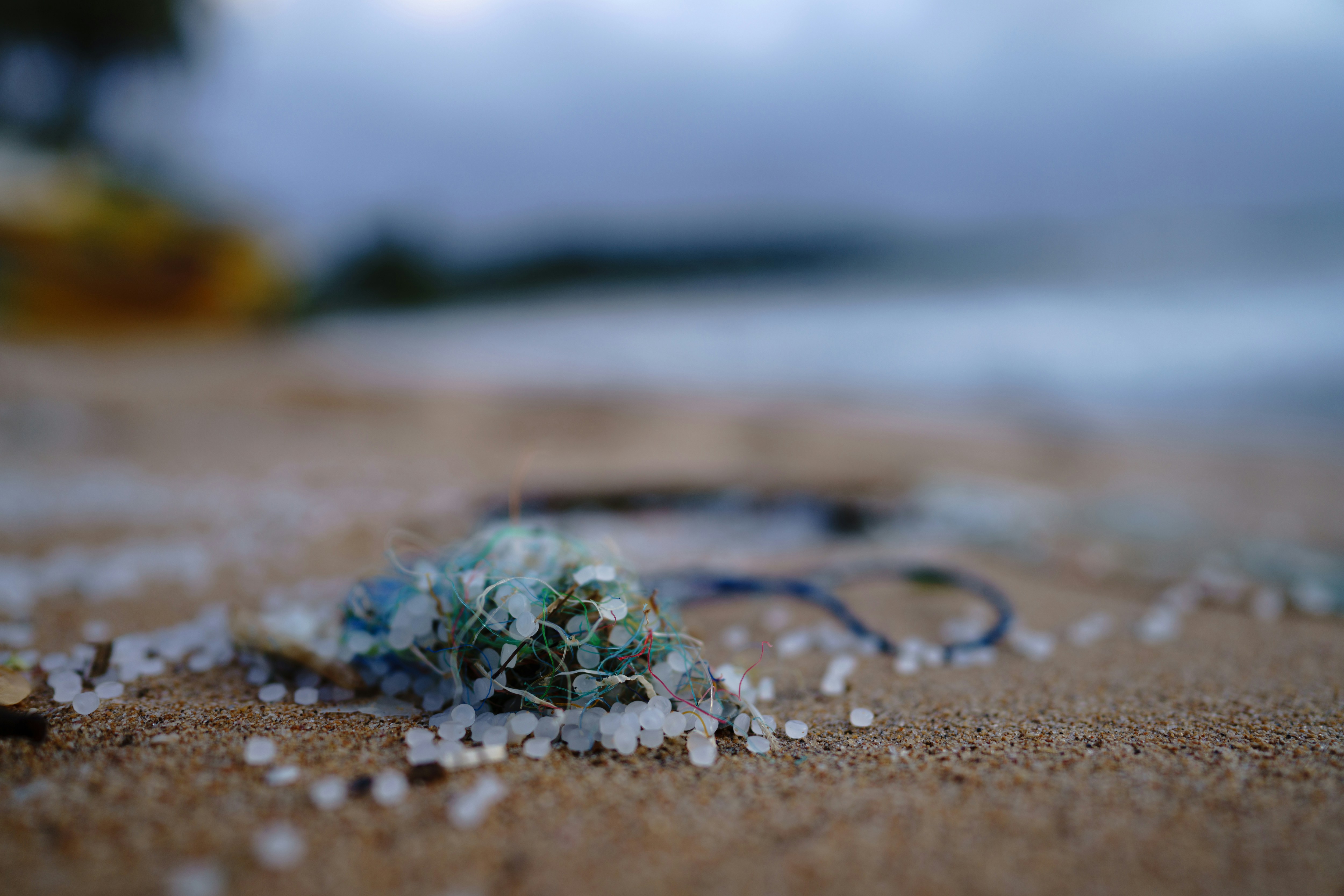 Plastic pollution on a beach