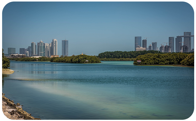 Mangroves