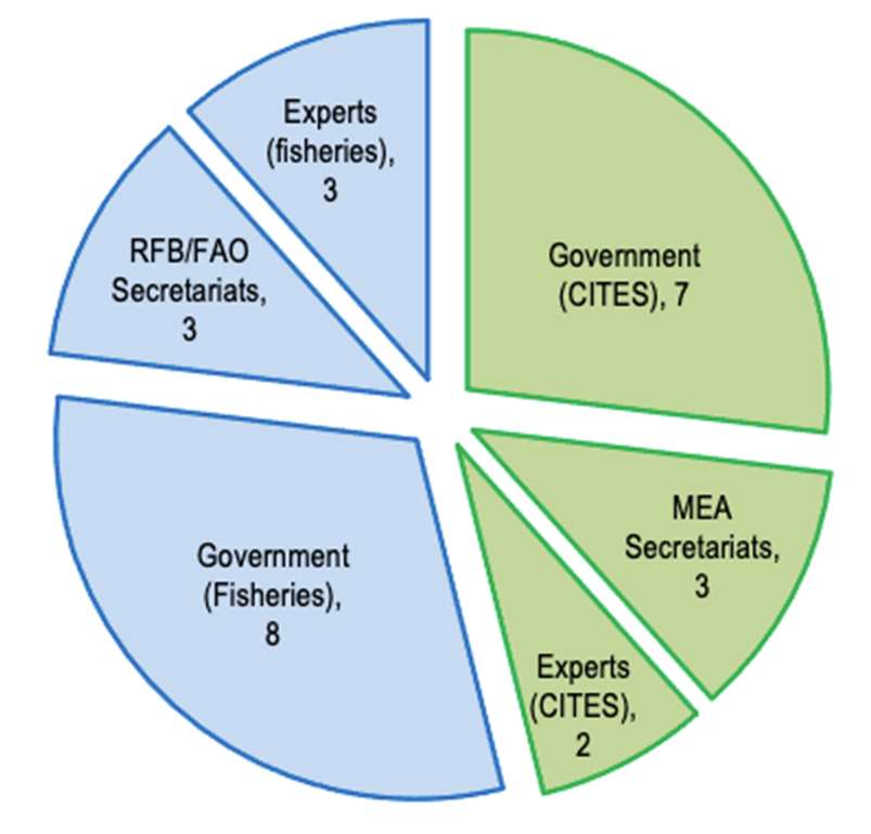 Figure 2 - Number of interviews by sector: Government agencies of Contracting Parties to CITES and RFMOs, Secretariats of multilateral fisheries (RFBs & FAO) and environmental agreements (MEA), and independent experts.