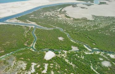 Empieza la cuenta atrás para la cumbre de biodiversidad más importante del mundo