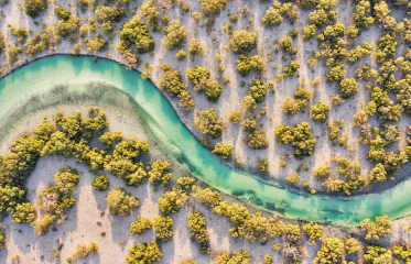 Environment Agency - Abu Dhabi