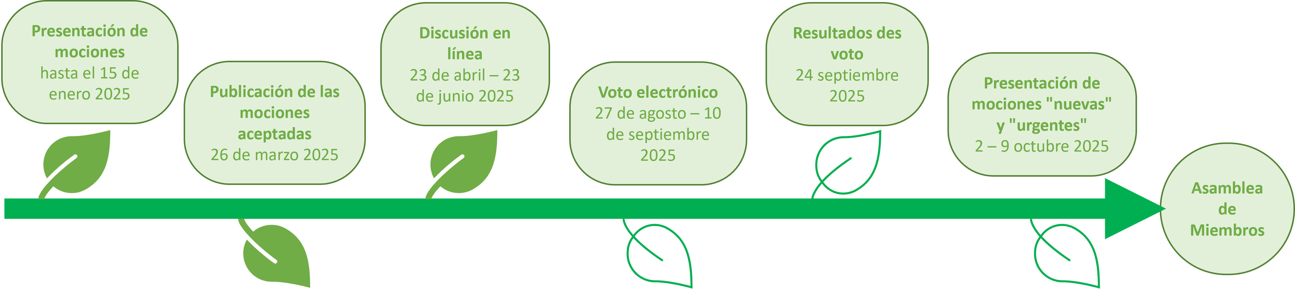 motions_timeline_spanish