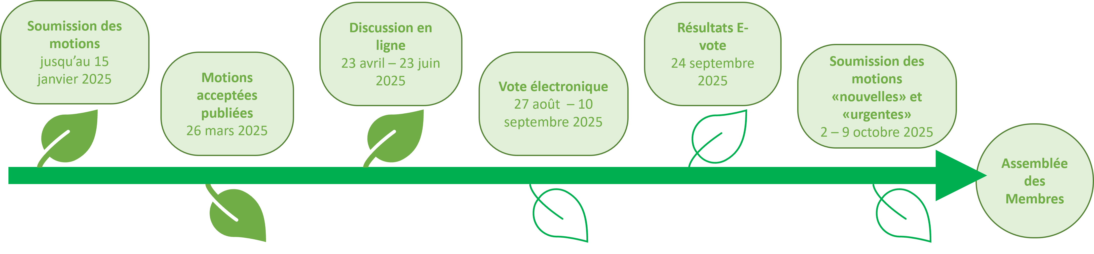 motions_timeline_french