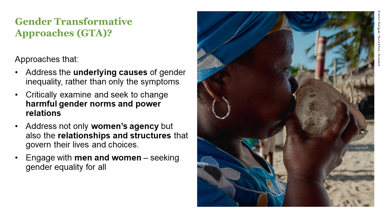 Slide on presentation about Gender Transformative Approaches