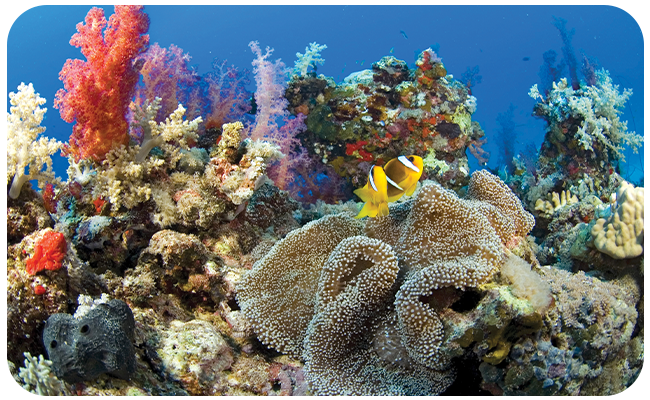 Environment Agency - Abu Dhabi