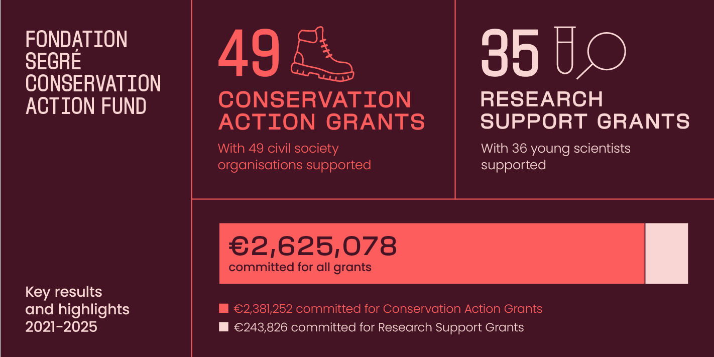 Foundation segre graphic