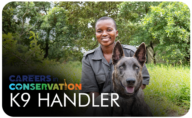 Careers in Conservation YouTube thumbnail