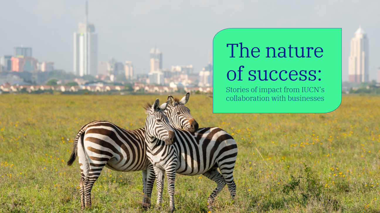 nature of success cover