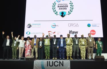 Ranger awards 2025 winners