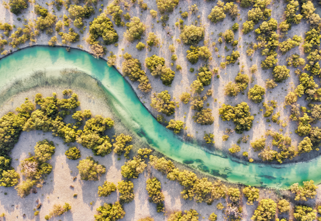 Environment Agency - Abu Dhabi