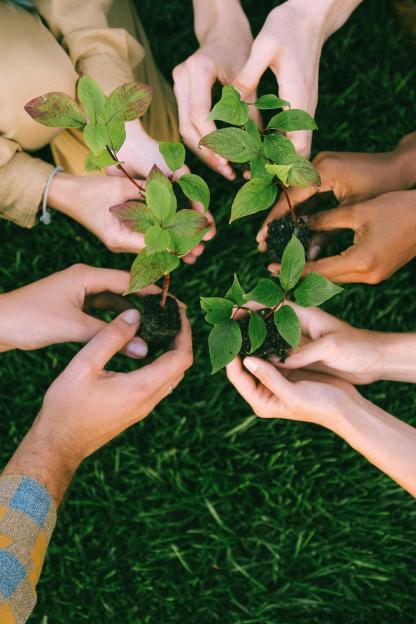 people planting together