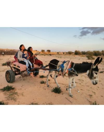 Echos de la Terre: Femmes et Jeunes pour la Biodiversité en Afrique du Nord