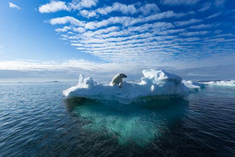 A polar bear sitting on the edge of an ice floe in the Svalbard Archipelago Shutterstock