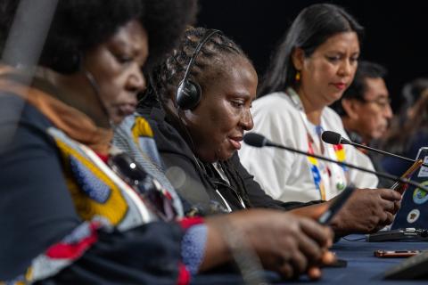 Woman speaks in IUCN Members Assembly