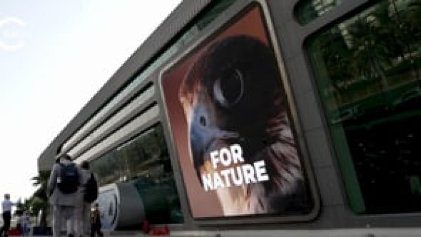 Preview image for the video "Closing video IUCN WCC_Abu Dhabi 2025".