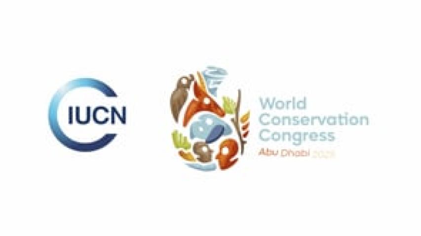 Preview image for the video "Nature is Everyone’s Business: Mobilizing Capital for Biodiversity and Resilience".