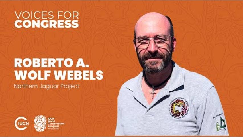 Preview image for the video voices congress "Roberto A. Wolf Webels".