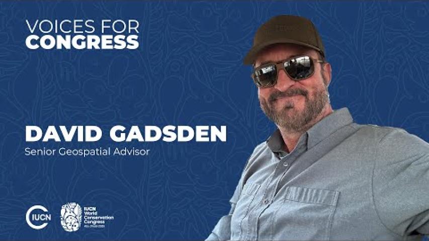 Preview image for the video voices congress "David Gadsden".