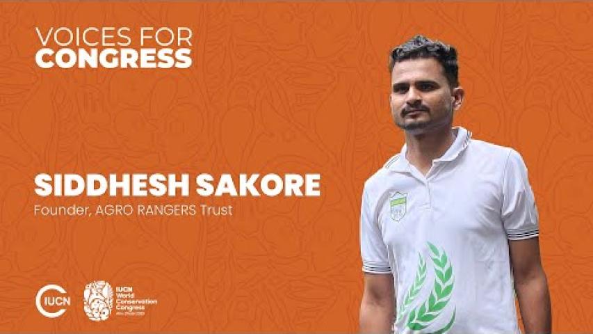 Preview image for the video voices congress "Siddhesh Sakore".