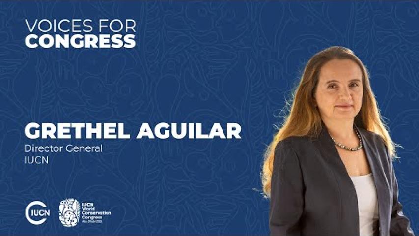 Preview image for the video voices congress "Grethel Aguilar".
