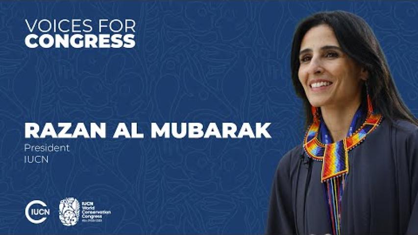 Preview image for the video voices congress "Razan Khalifa Al Mubarak".