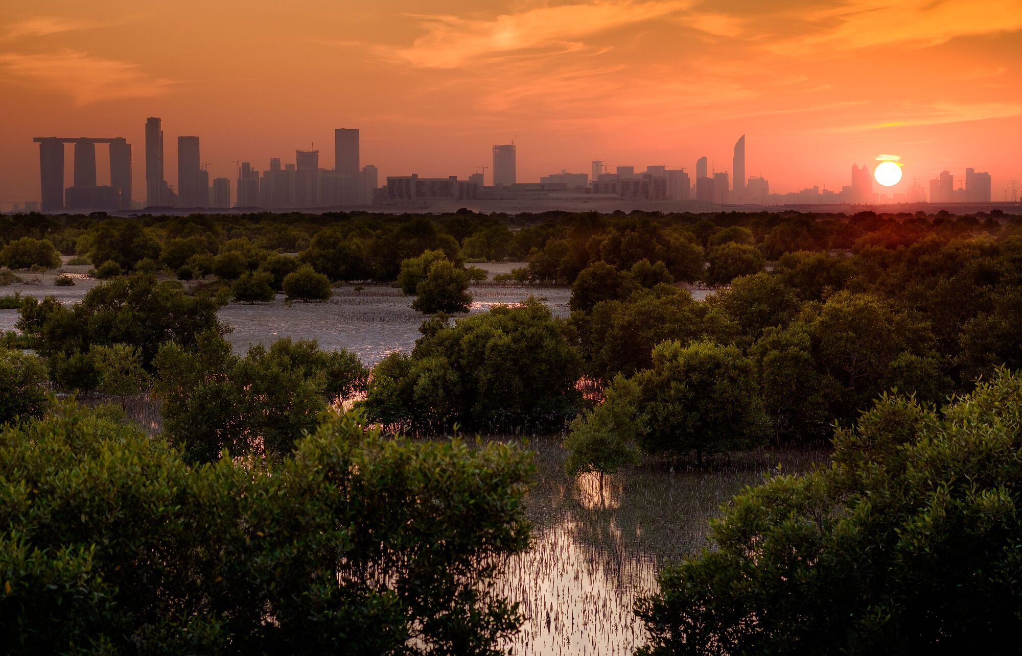 IUCN World Conservation Congress